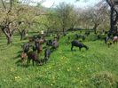 IMG_20140427_120138