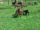 IMG_20140427_120552