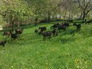 IMG_20140427_120628