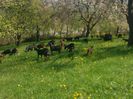 IMG_20140427_120641