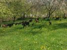 IMG_20140427_120644