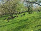 IMG_20140427_120753