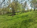 IMG_20140427_120806