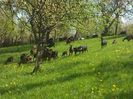 IMG_20140427_120810