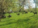 IMG_20140427_120814