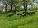 IMG_20140427_120828