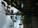 apriilie 2014 106 - Copy