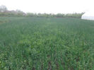 DSC00742