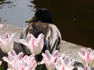 DSCF1609