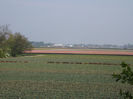 DSCF1619