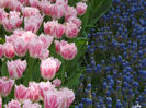 DSCF1639