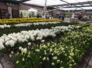 DSCF1647