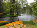 DSCF1660