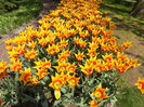DSCF1661