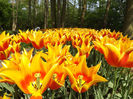 DSCF1662