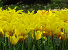 DSCF1666