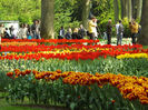 DSCF1673