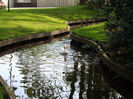 DSCF1679