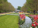 DSCF1731