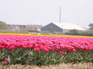 DSCF1777