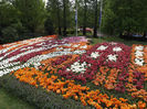 DSCF1809
