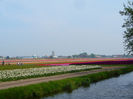 P1140537