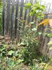 DSC02828