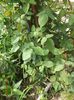 DSC02830