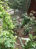 DSC02831