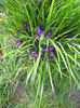 DSCN1439_002