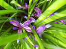 DSCN1440_003
