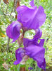 DSCN1442_005