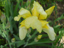 DSCN1443_006