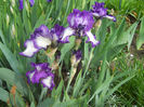 DSCN1450_013