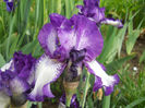 DSCN1451_014