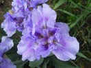 DSCN1455_018