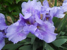 DSCN1458_021