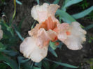 DSCN1460_023