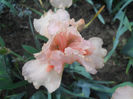 DSCN1459_022