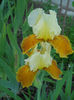 DSCN1466_029
