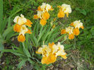 DSCN1467_030
