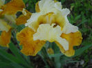 DSCN1470_033