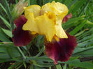 DSCN1472_035