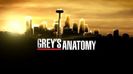 2be8328f41144106f7144802f2367487-22-greys-anatomy-a-look-at-major-events-from-past-seasons