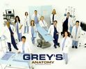 greys.anatomy.dizibee.com_