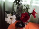 DSC02406
