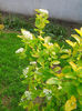IMG_20140420_170145