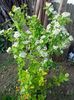 IMG_20140420_170259