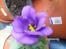 DSCN5892