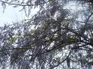 DSCN5923